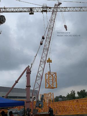 4000kg Derrick Tower Crane 18.6m Radium Derricks Construction